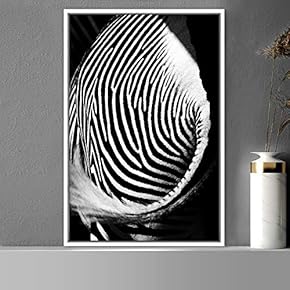 signwin Framed Canvas Wall Art Duotone Zebra Animals...