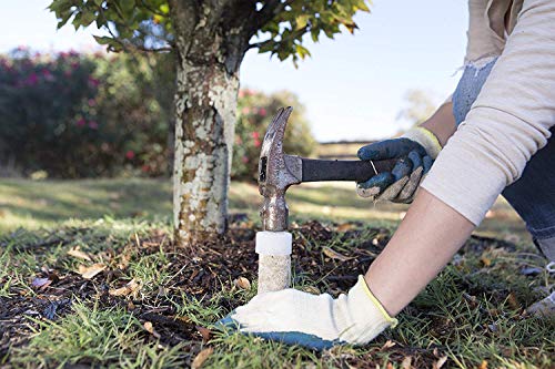 Jobe's Fruit & Citrus Fertilizer Spikes, 5 Spikes