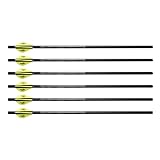 Excalibur Quill 16.5" Carbon 250 Grain Crossbow