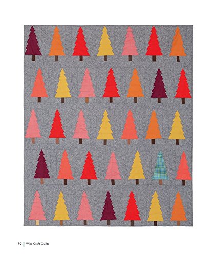 Wise Craft Quilts: A Guide to Turning Beloved Fabrics into Meaningful Patchwork