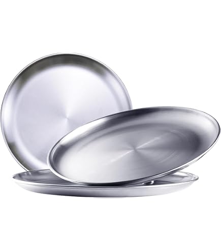 Amazon.com: Vintage Inox Round Plate, 10.0 inches (255 mm), Made