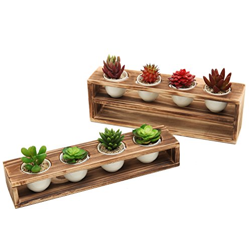 MyGift Rustic Burnt Wood Tiered Succulent Planter Stand with 8 Mini White Ceramic Plant Pots, Set of 2