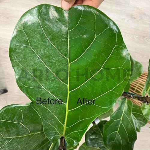 Organic Leaf Spray Cleanser Blooming dales (500 ml) Natural Indoor Plant Leaf Shine Spray for Houseplants Indoor and Outdoor Fresh Clean Plant For Home & Office Use