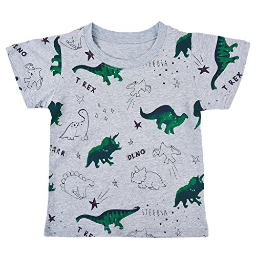 CM-Light Boys Toddler Short Sleeve Shirt Dinosaur Tee Cotton T-Shirt Kids Top 2 3 4 5 6 Years