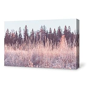 Autumn Forest Painting Wall Poster Decor for Living Room Framed