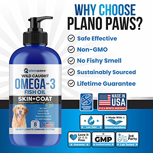 Omega 3 Fish Oil for Dogs Better Than Salmon Oil for Dogs Dog Fish