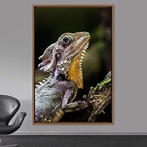 signwin Framed Canvas Wall Art Reptile Contemporary Dramatic...