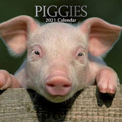 Edb8sexfa3iqwm calendrier 2021 cochon
