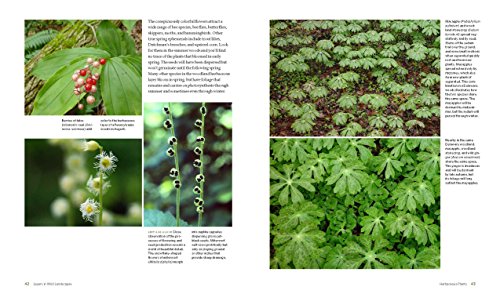The Living Landscape: Designing for Beauty and Biodiversity in the Home Garden