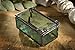 J Devlin Glass Art Box 178 Series Stained Glass Decorative Dragonfly Box for Trinket, Keepsake, or Jewelry - Available in Clear or Sage Green (Sage Green)