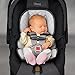Chicco KeyFit 30 Infant Car Seat, Eucalyptus
