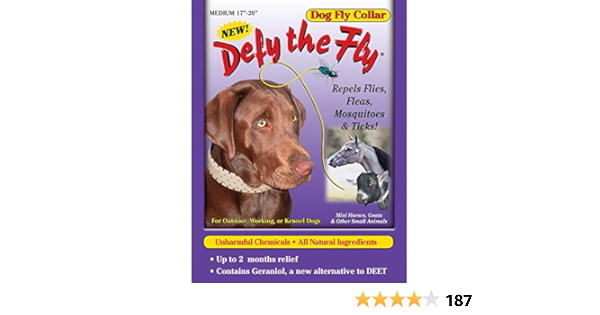 fly collars for dogs