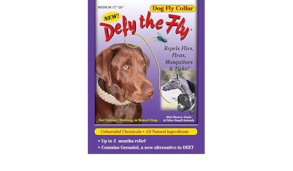 fly collars for dogs
