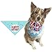 Happy Birthday Dog Bandana - Dog Birthday Scarf Accessory - Great Dog Gift Idea (Medium to Large)