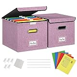Forlogic File Organizer Box with lid, Collapsible