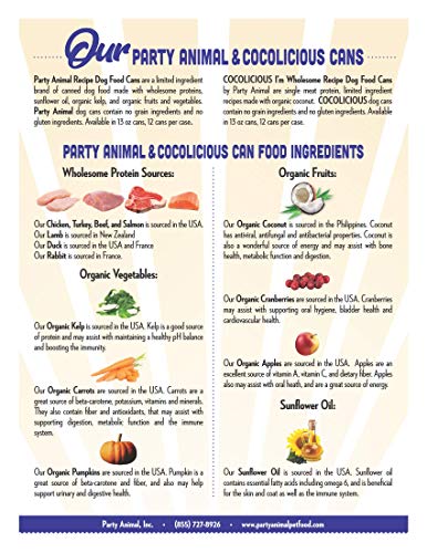 Party Animal Blazin' Beef Recipe Canned Dog Food 13 oz/12 case