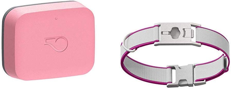 Whistle Go Health and Location Tracker for Pets -Blush/See Me Pink Collar Combo - Size M