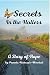 Secrets in the Hollers: A Story of Hope by 