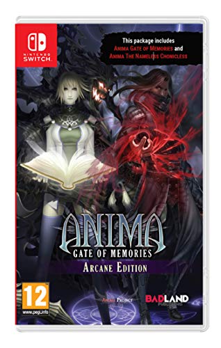 Anima Gate Of Memories: Arcane Edition Pour Nintendo Switch