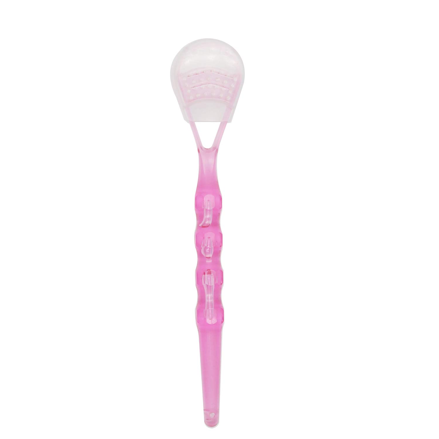 Uproll Denture Brush/False Teeth Brush and Tongue Cleaner Set Amethyst: Health & Personal Care