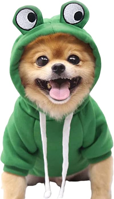 XIAOYU Puppy Dog Hoodie Clothes Small Medium Pets Fruit Hoodie L