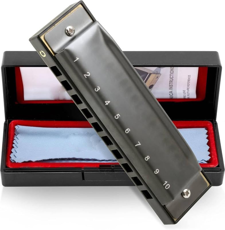 ProBytes Diatonic Harmonica in C Key-Scale - 10 Holes Symphony Mouth Organ, Steel-ABS, Gift-Carry Case, Artists, Professionals, Beginners, Adults, Stage Performer, Juniors, Musical Instrument – Nickle