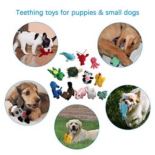 legend sandy Squeaky Plush Dog Toy Pack for Puppy, Small Stuffed Puppy Chew Toys 12 Dog Toys Bulk with Squeakers, Cute Soft Pet Toy for Small Medium Size Dogs