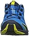 Salomon Mens XA Pro 3D GTX Cloisonné/Navy Blazer/Sulphur Spring Athletic Shoe