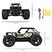 RC Vehicle, Electric Offroad RC Car, 2WD 2.4Ghz Fast Race Control Vehicle Toys for Kids and Adults Christmas Gift, 1/20 Scale