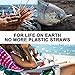 Longzon 2 Pack Telescopic Metal Straws – Reusable, Portable, Collapsible Stainless Steel Drinking Straws with 2 Aluminum Key-chain Case & 2 Cleaning Brushes for Travel - (Silver/Champagne)