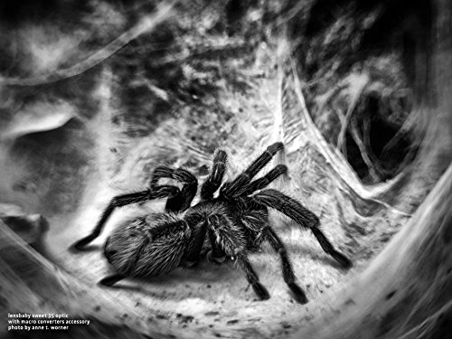 Lensbaby Macro Converters - 8mm Converter and 16mm Converter (LBMC) - Thumbnail 5