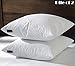 20x20 Square Down Feather Pillow Inserts-Set of 2-100% Cotton Fabric- White