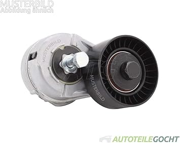 Ina 534 0255 10 Correas de Distribución: Amazon.es: Coche y moto