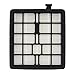 FilterBuy Dirt Devil F45 (F-45) Replacement HEPA Filter, Part # 2KQ0107000. Designed by FilterBuy to fit Dirt Devil Vision Pet Canister Vac SD40000 & Dirt Devil EZ Lite Canister Vac SD40010