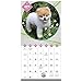 2018 Boo Mini Calendar (Day Dream)