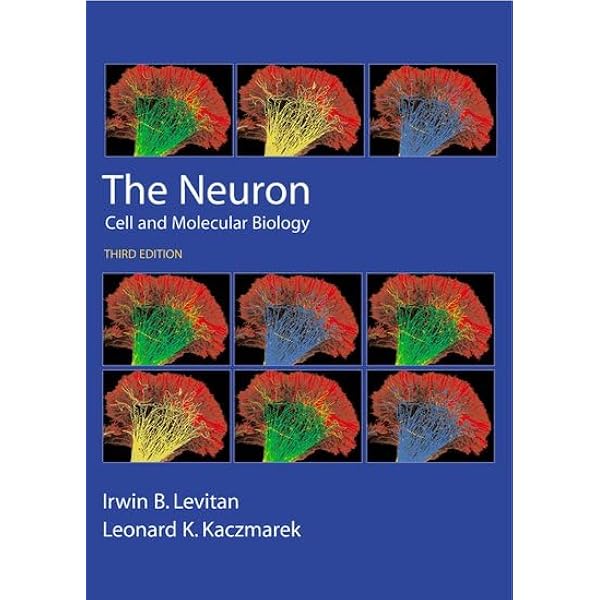 Molecular Biology of the Neuron 第二版 The Neuron: Cell and Molecular Biology: 9780199773893