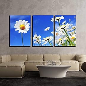 3 Piece Canvas Wall Art - Summer Field with White Daisies on Blue Sky - Modern Home Art Stretched and Framed Ready to Hang - 16"x24"x3 Panels