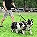 Double Dog Leash,2 Dog Leashes,360 Degree Swivel Tangle Free Dual Dog Walking Training Leash,Shock Absorbing Bungee Two Dogs Leash with Waste Bag Walk 2 Dogs,30-100 lbs