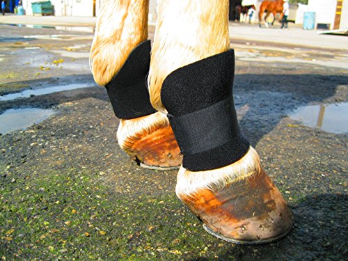 1 Equipro+Bed+Sore+Boots