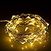 BHCLIGHT LED String Lights Battery Operated Starry Copper Wire Waterproof Décor Rope Lights For Seasonal Decorative Christmas Holiday, Parties,Wedding(50 Leds, 16.5 ft, Warm White)