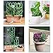 Indoor Plant Trellis for Climbing Plants Bundle Pack - 6 Leaf Shape Garden Plant Supports Houseplants Trellis, 18 Plant Clips, 12 Zip Ties, 1 Roll Wire Twist Tie for Potted Vine Vegetable Flower