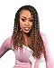 Freetress Braids WATER WAVE 22