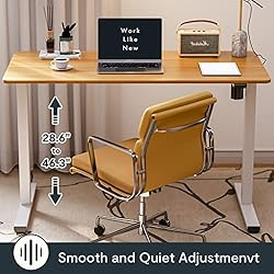 FLEXISPOT Adjustable Height Desk 40 x 24 Inches