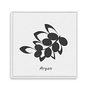 Framed Canvas Wall Art for Living Room, Bedroom Nordic Style Plants Theme Canvas Prints for Home Decoration Ready to Hang - 16x16 inches