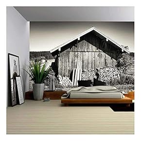 Old Stable and Firewood at a Meadow - Removable Wall Mural | Self-Adhesive Large Wallpaper - 66x96 inches