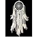 Dremisland Dream catcher Handmade Traditional White Feather Wall Hanging Car Hanging Home Decoration Ornament Decor Ornament Craft Gift (White Feather)