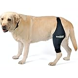 kruuse dog knee brace