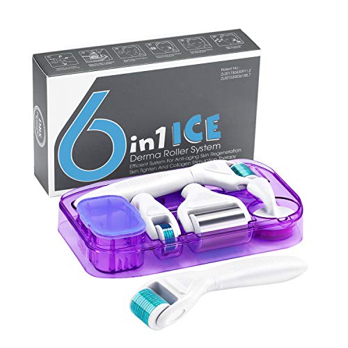 Ice Roller Derma Roller 6 in 1 Kit .25mm Titanium Microneedles, Ice Roller Dermaroller for Face and Body, 12/300/ 720 Titanium Micro Needle