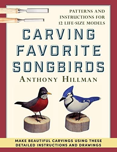 Songbird Carving: ROSALYN LEACH DAISEY: 9780887400575: Amazon.com 