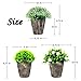 The Bloom Times Fake Plant for Bathroom/Home Decor, Small Artificial Faux Greenery for House Decorations (Potted Plants) Set of 3Pcs